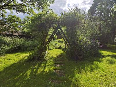 Picture 17